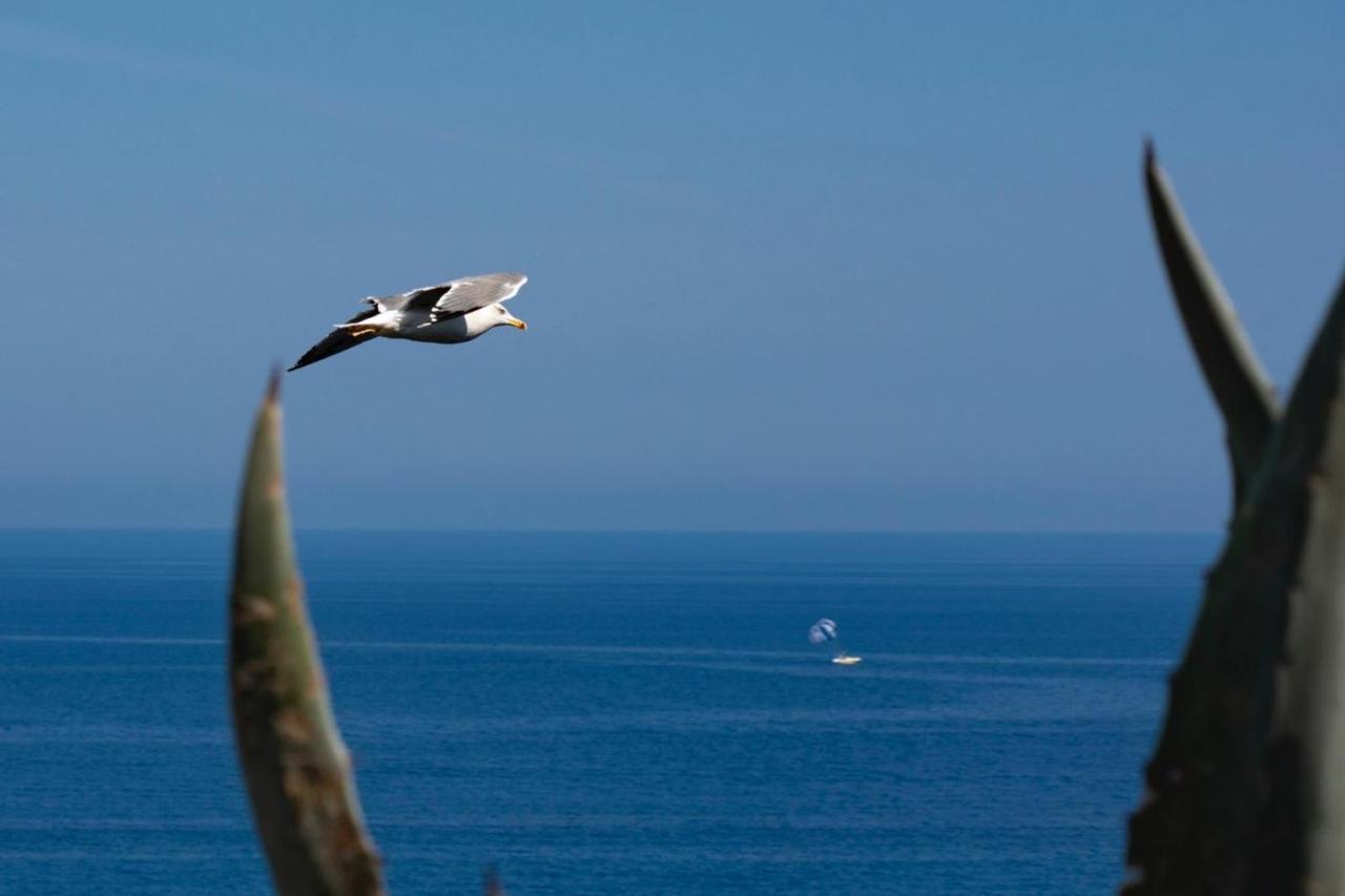 Il Poggio Di Tropea Hotell Parghelia Exteriör bild